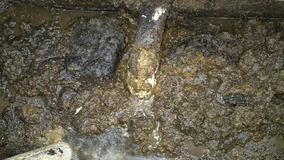 Blocked septic tank with thick solids during maintenance in Oneonta, AL